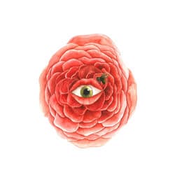 Speak Flowers Print