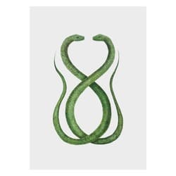 Dance of The Serpents Print