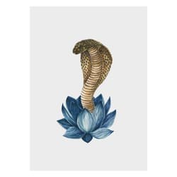 Serpent Cobra Reborn Print