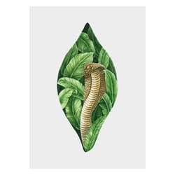 Cobra Serpent in Yoni (Sacred Space) Print